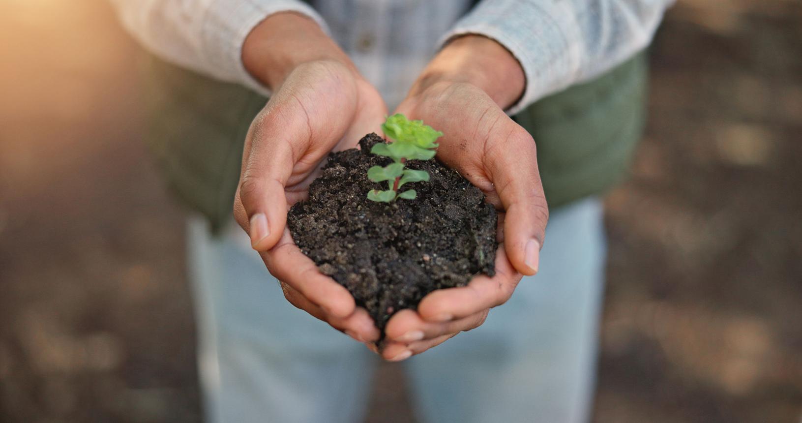 Soil of India